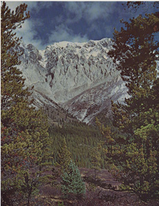 The Ancient Wall Bordering the Valley of Blue Creek, Alberta Rockies